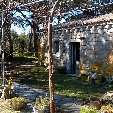 Agriturismo La Vigna Темпио Паузания Екстериор снимка