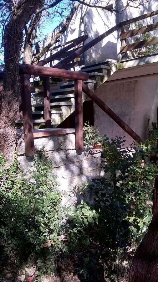 Agriturismo La Vigna Темпио Паузания Екстериор снимка