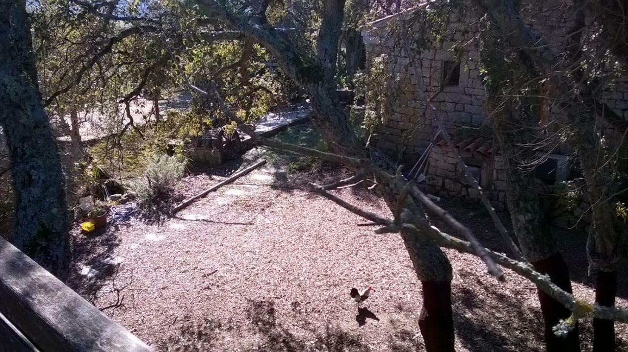 Agriturismo La Vigna Темпио Паузания Екстериор снимка
