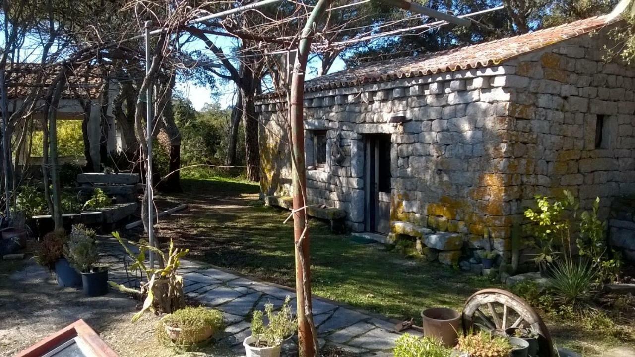 Agriturismo La Vigna Темпио Паузания Екстериор снимка
