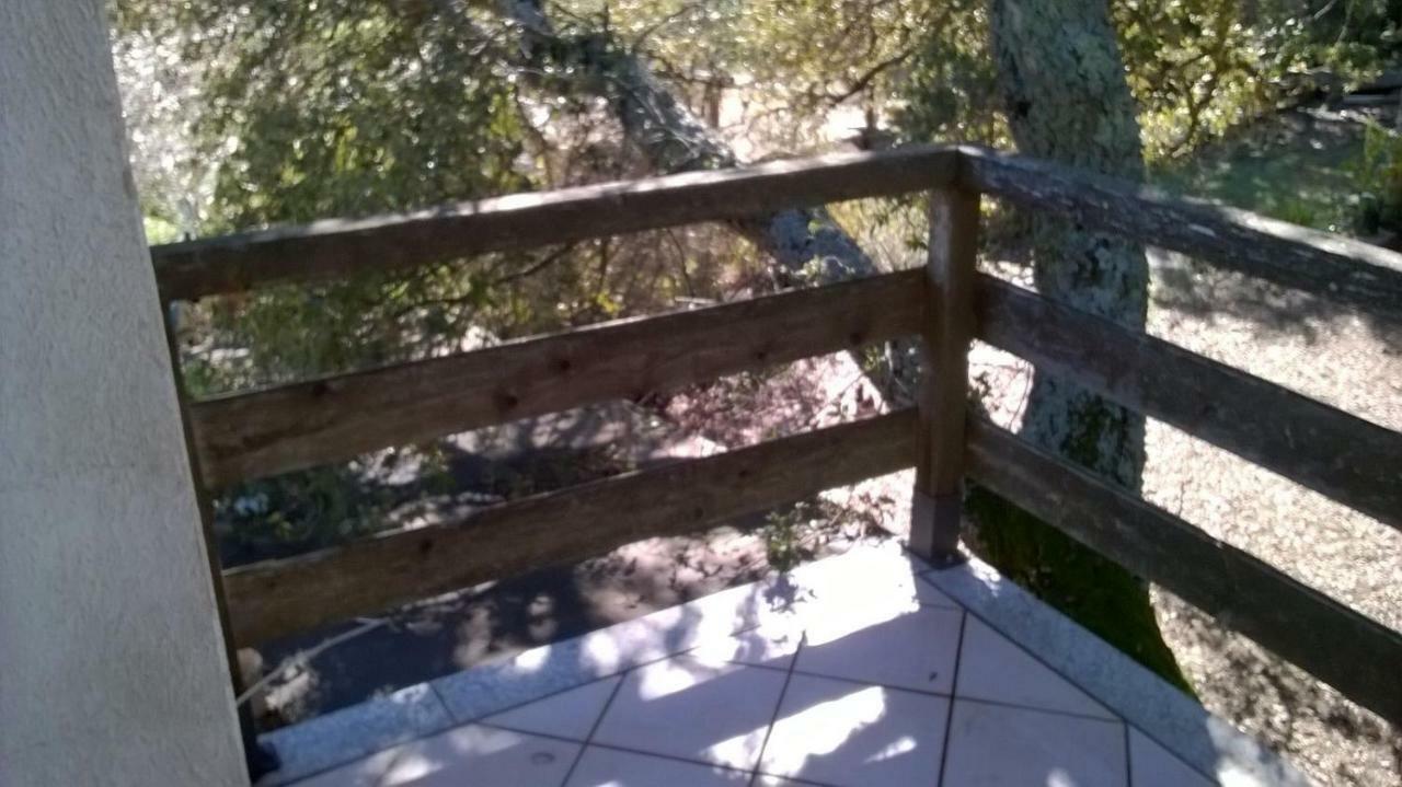 Agriturismo La Vigna Темпио Паузания Екстериор снимка
