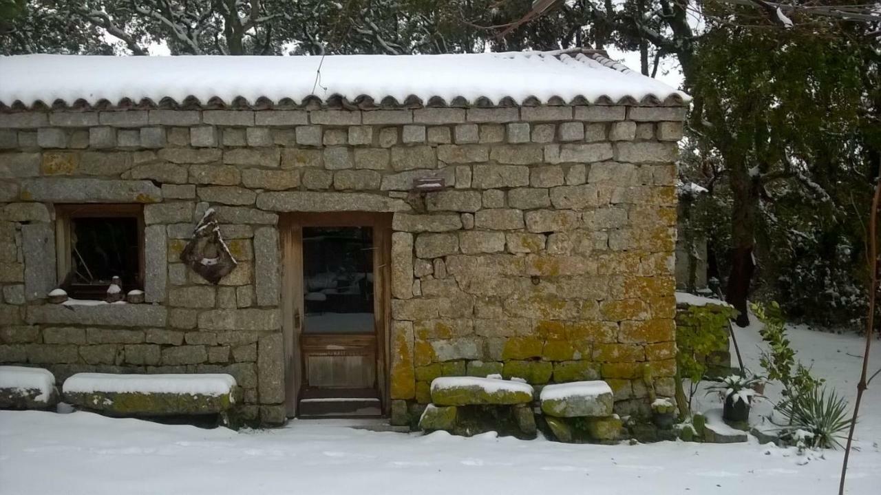 Agriturismo La Vigna Темпио Паузания Екстериор снимка