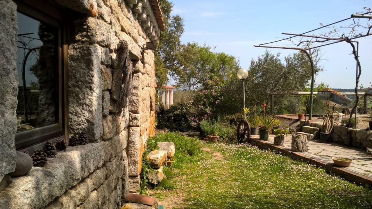 Agriturismo La Vigna Темпио Паузания Екстериор снимка