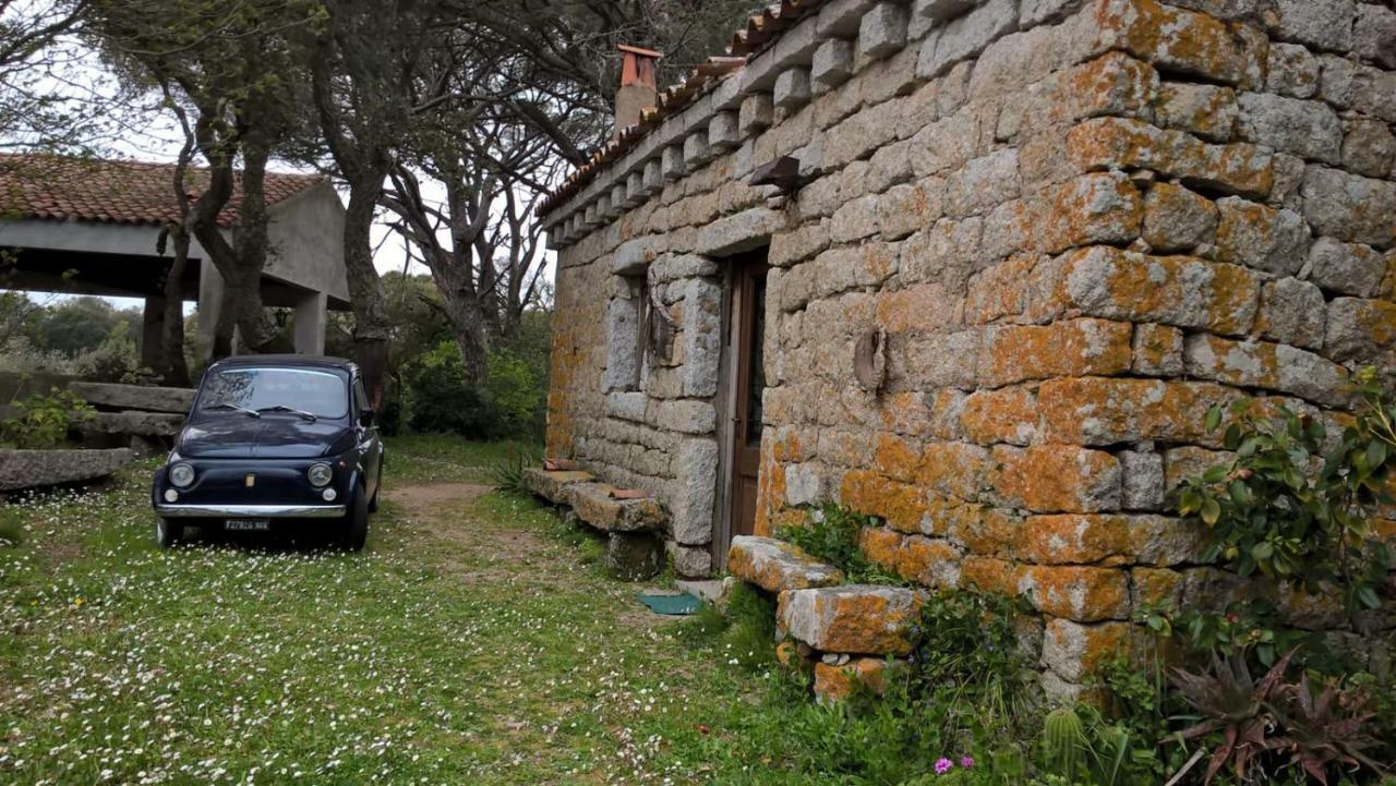 Agriturismo La Vigna Темпио Паузания Екстериор снимка