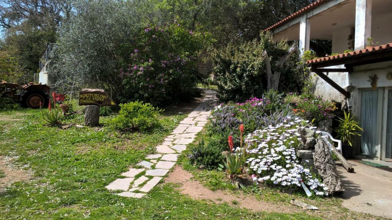 Agriturismo La Vigna Темпио Паузания Екстериор снимка