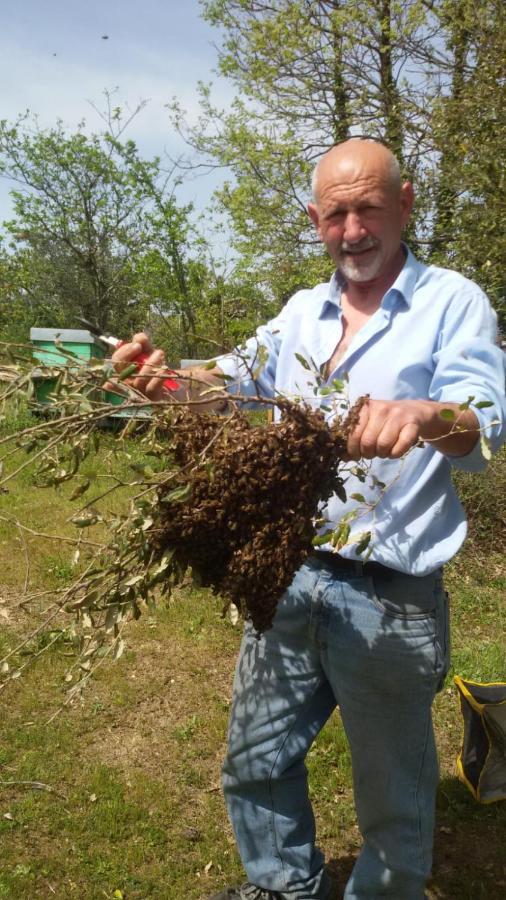 Agriturismo La Vigna Темпио Паузания Екстериор снимка