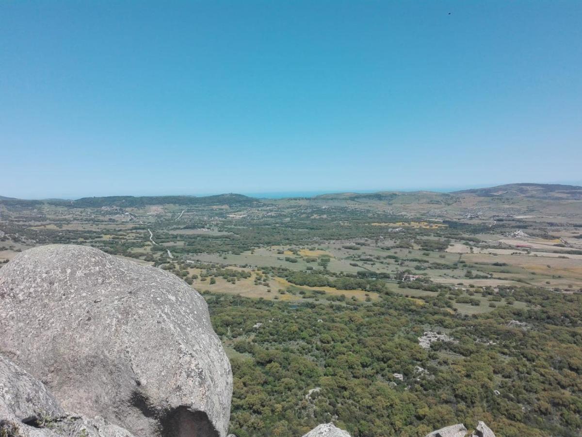 Agriturismo La Vigna Темпио Паузания Екстериор снимка